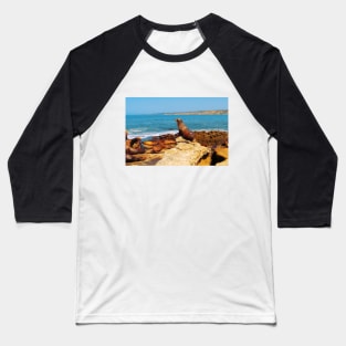 San Diego La Jolla Cove Sea Lions California USA Photography Baseball T-Shirt